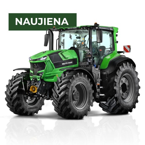 Nauja 8 serija (313-340 AG)